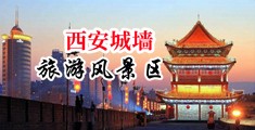 外国人男女互插视频网站在线观看中国陕西-西安城墙旅游风景区